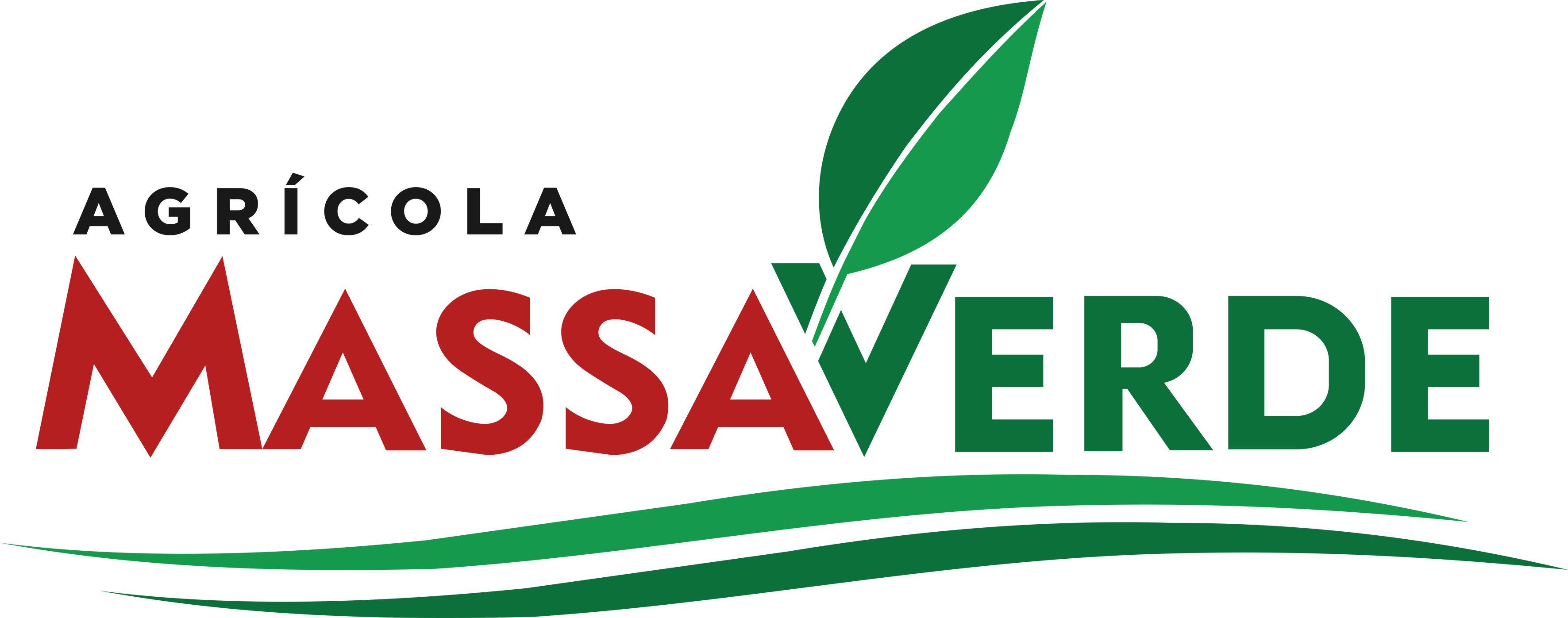 Agrícola Massa Verde